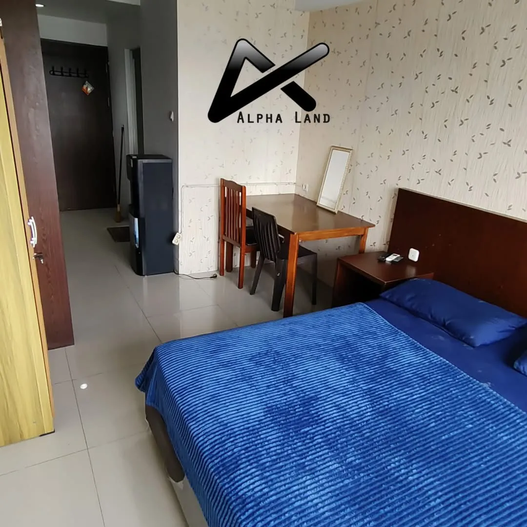 Disewa Apartemen Skyview Studio Lt17